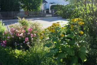 Kirchenbeet Sommer 2019