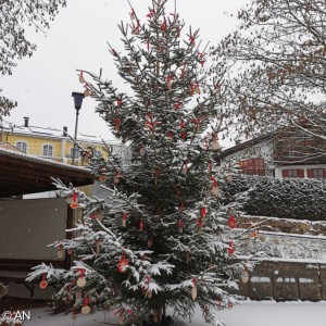 Epiphanias - Christbaum im Schnee